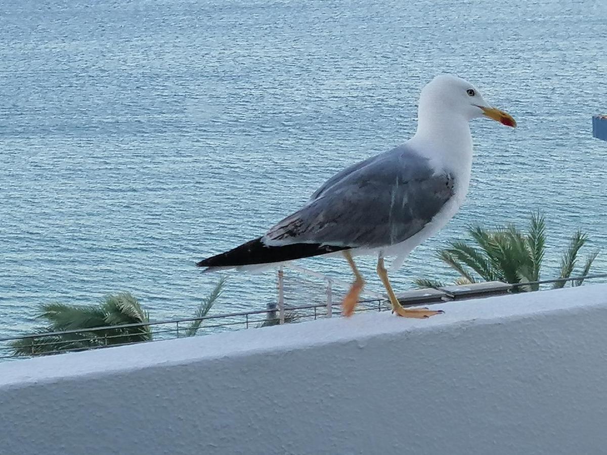 ססימברה Sol, Mar E Praia מראה חיצוני תמונה